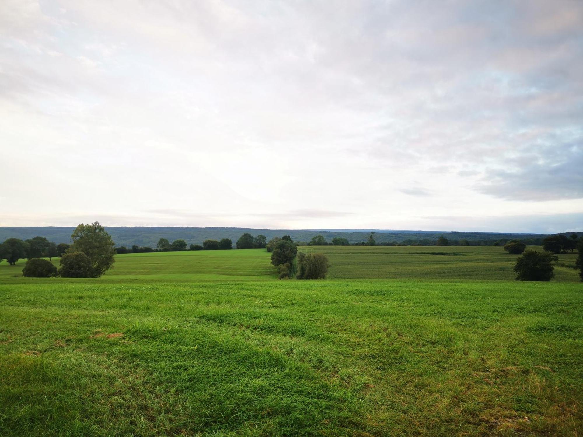 Studio Les Champs Baelen Екстер'єр фото